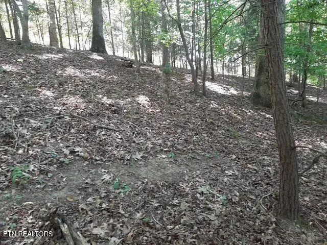#3