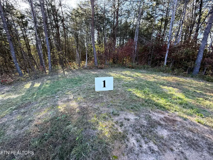 #3