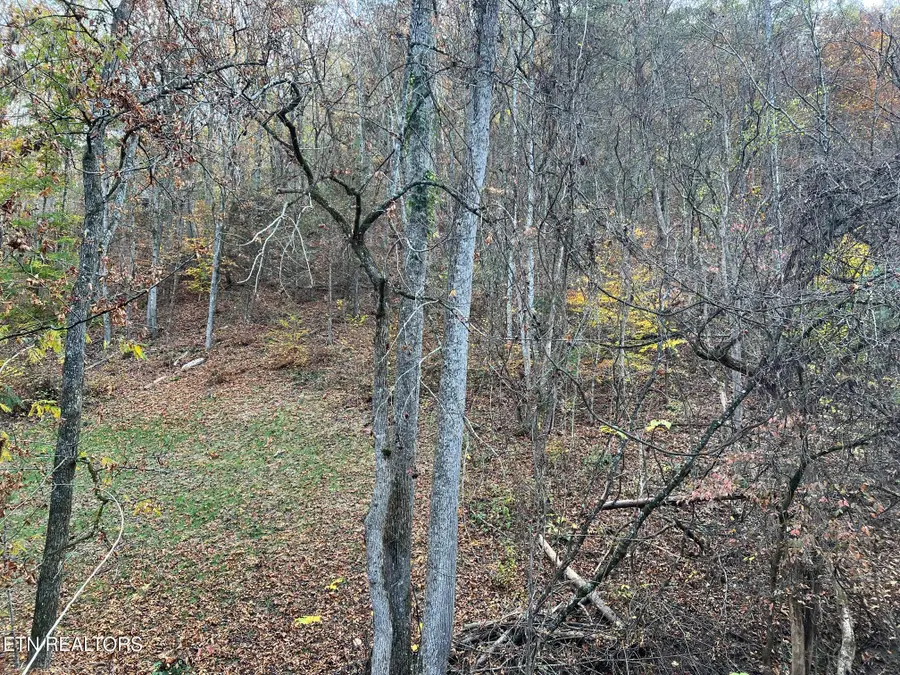 #3
