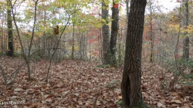 #2