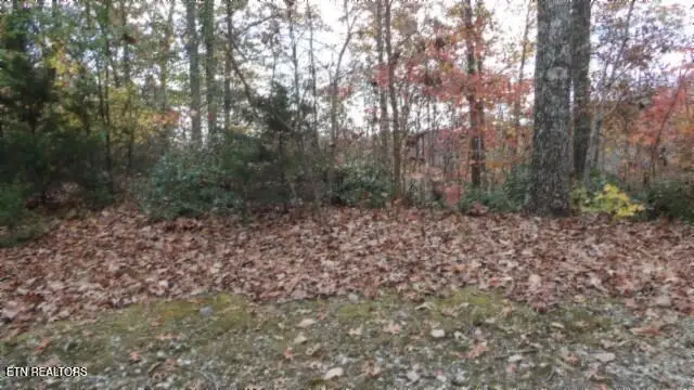#3