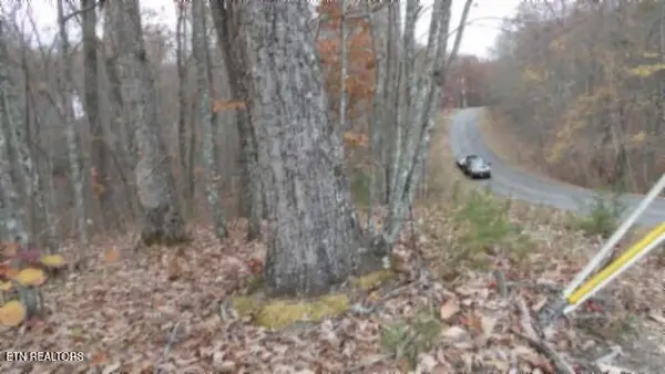 Lot 23 Cumberland Cove Rd, Monterey, TN 38574