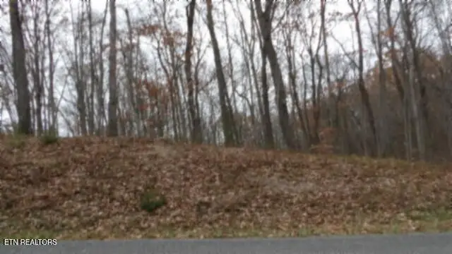 Lot 23 Cumberland Cove Rd, Monterey, TN 38574 - Image #3