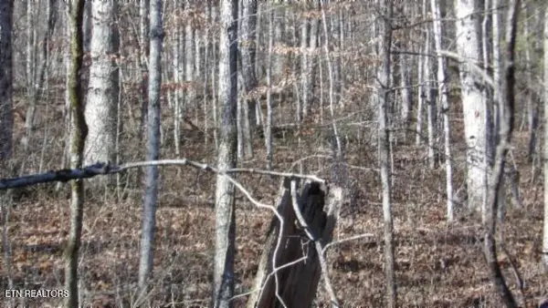 Lot 46 Cheyenne Drive, Jamestown, TN 38556