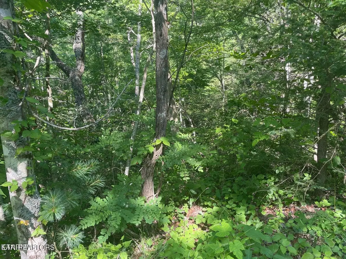 Lot 68 Sycamore St, Sevierville, TN 37876 - #1