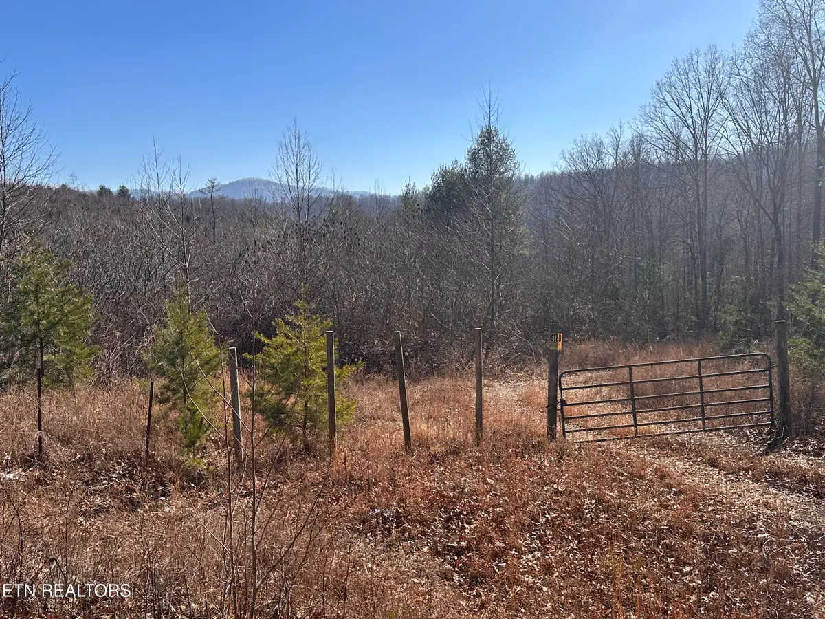 162.45ac Mill Creek Rd, Sunbright, TN 37872 - Image #1