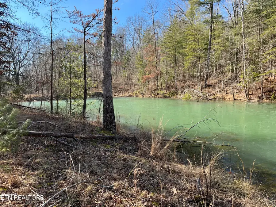 162.45ac Mill Creek Rd, Sunbright, TN 37872 - Image #2