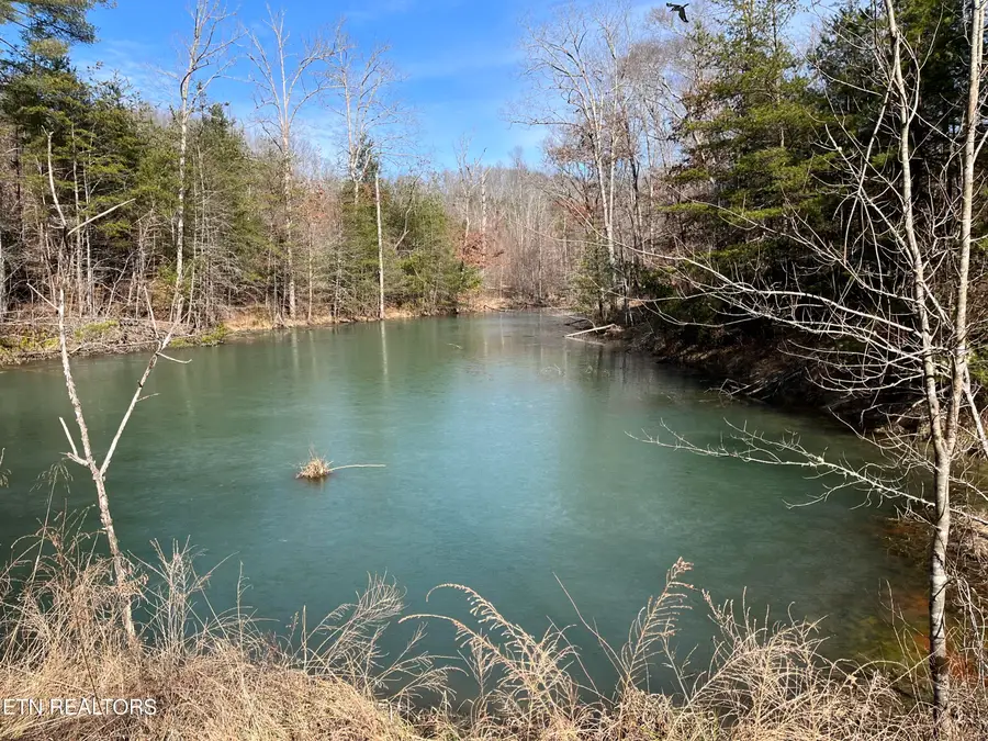 162.45ac Mill Creek Rd, Sunbright, TN 37872 - Image #3