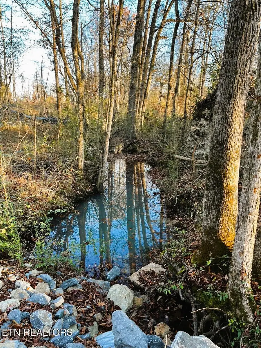 16.75 ac Euchee Road, Ten Mile, TN 37880 - Image #3