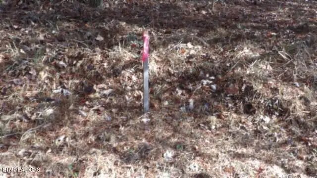 Lot 185 Meadow Lane, Spencer, TN 38585 - Image #2