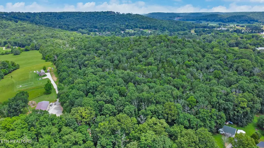 1644 Walker Cove Rd, Sparta, TN 38583 - #3