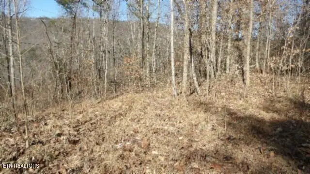 Lot 28 Apache Rd, Jamestown, TN 38556 - Image #1