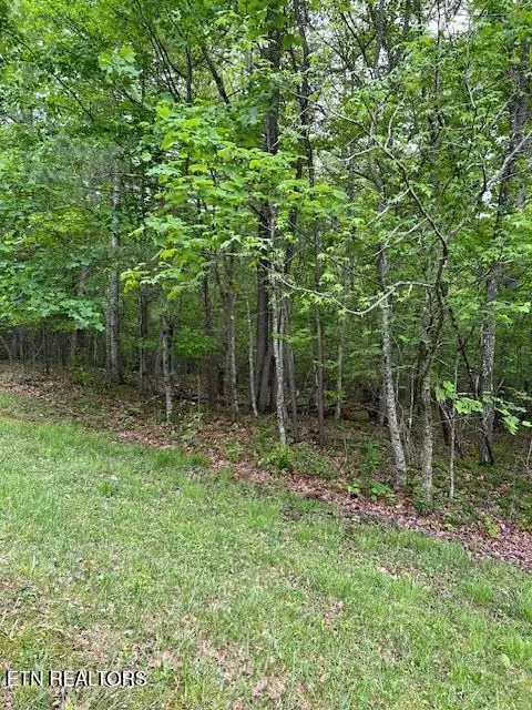 Pinney Place, Monterey, TN 38574 - Image #2