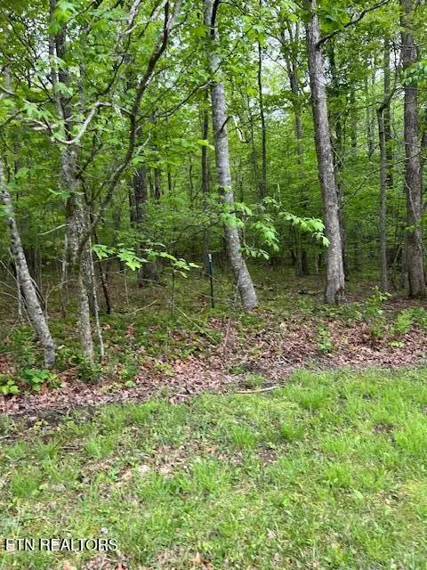 Pinney Place, Monterey, TN 38574 - Image #3