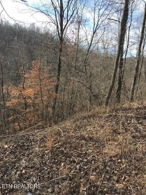 #2