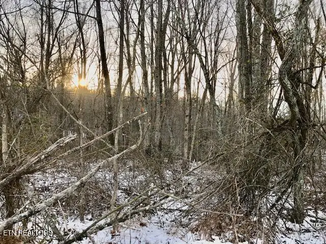 #3