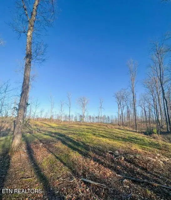 00 SE Bates Pike Pike, Cleveland, TN 37311 - Image #3