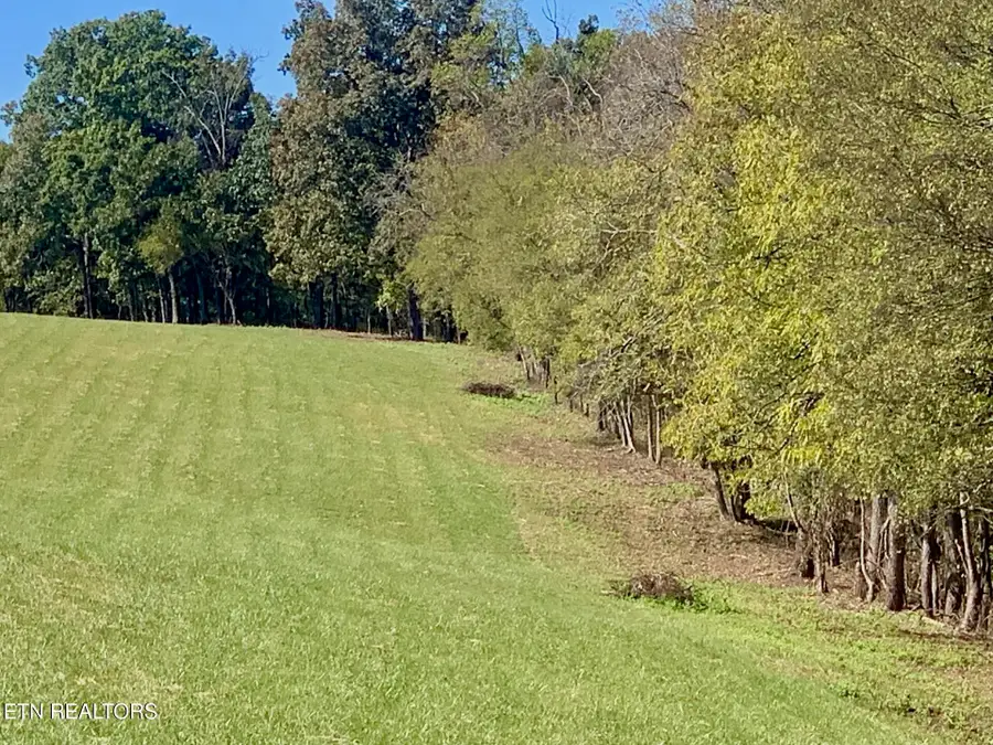 Somerset Estates | Homesite 2, Lenoir City, TN 37771 - #3