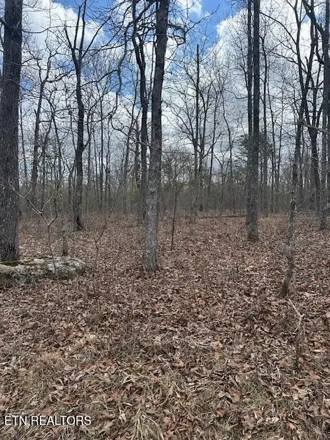 8949 Pima Drive, Crossville, TN 38572 - Image #2