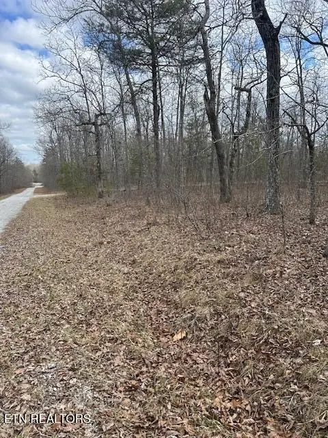 8949 Pima Drive, Crossville, TN 38572 - Image #3