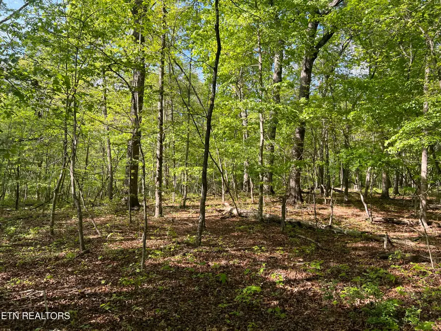 328ac Peavine Firetower Rd, Crossville, TN 38571 - Image #2