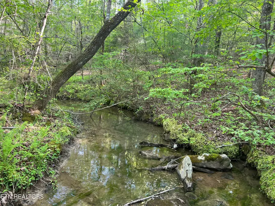 328ac Peavine Firetower Rd, Crossville, TN 38571 - Image #3