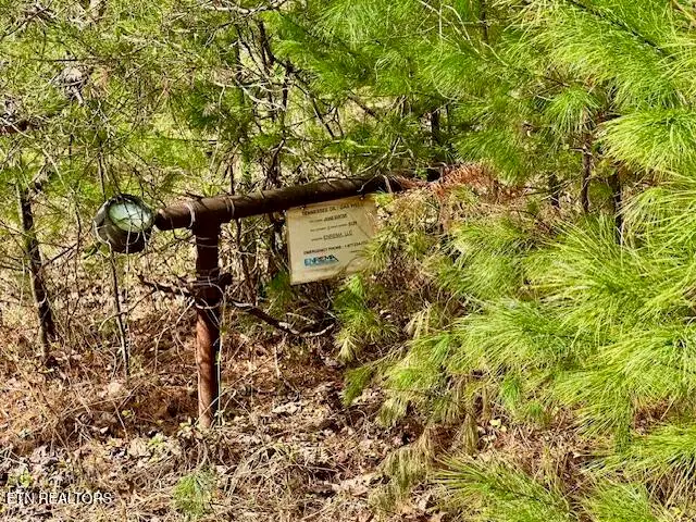 144 Gunter Place Place, Sunbright, TN 37872 - Image #3