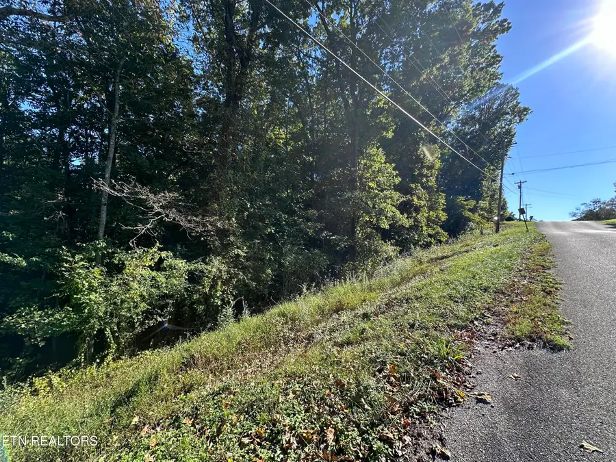 Hathburn Drive, Rockwood, TN 37854 - Image #3