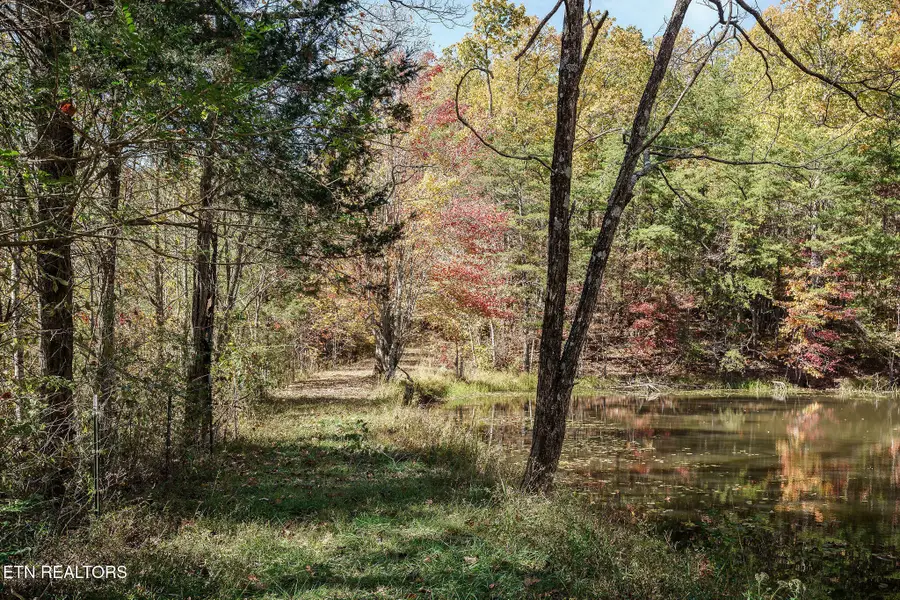 8.13 ac Harris Road, Monterey, TN 38574 - Image #2