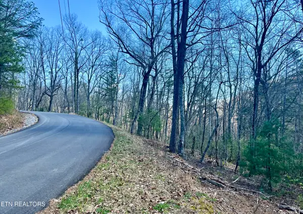 4010 Fox Hunters Lane, Sevierville, TN 37876