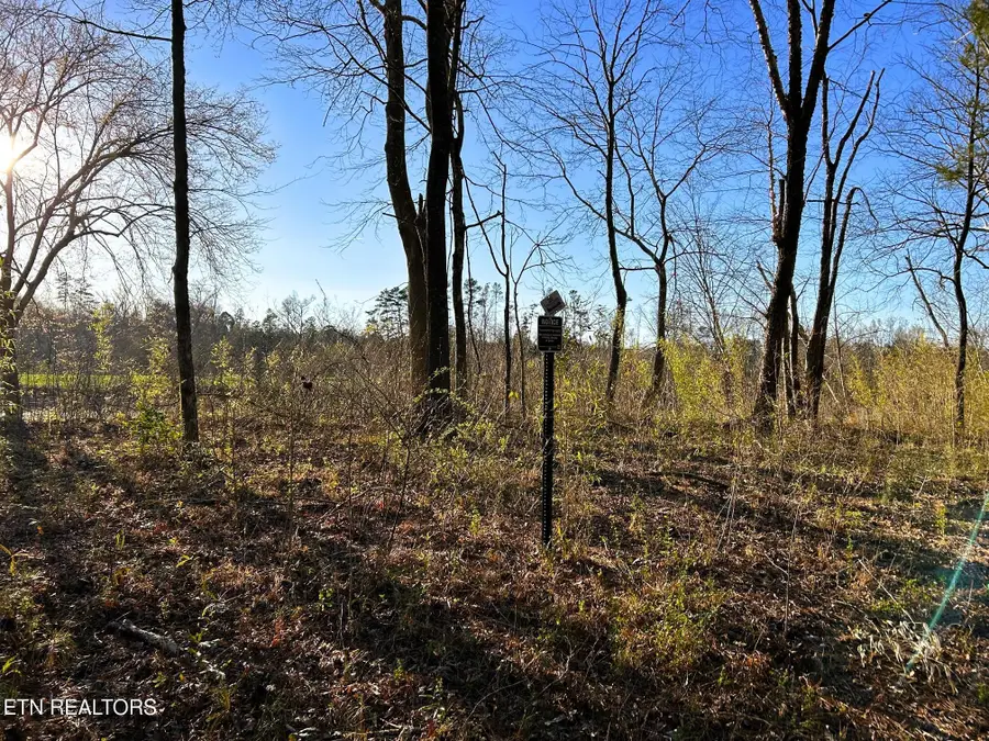 Lot 4 County Road 950, Calhoun, TN 37309 - #2