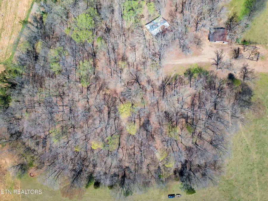 1404 Trigonia Rd, Maryville, TN 37801 - #2