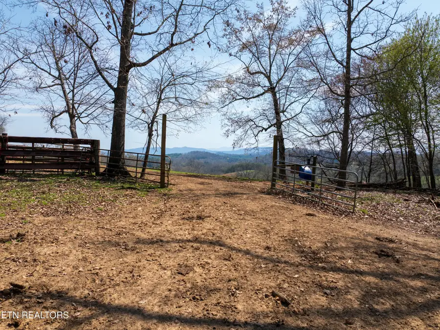 1404 Trigonia Rd, Maryville, TN 37801 - #3