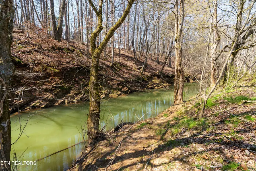 1413 Trigonia Rd, Maryville, TN 37801 - #3