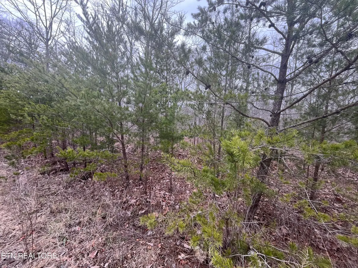 0 Maple Lane, Pikeville, TN 37367 - #1