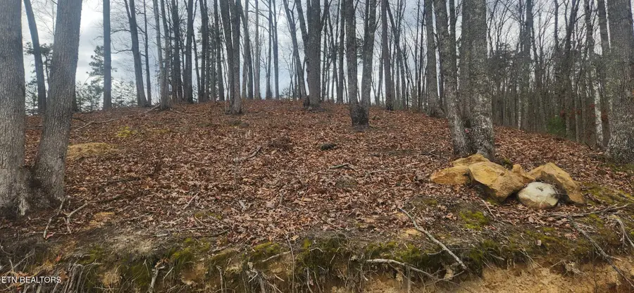 #3