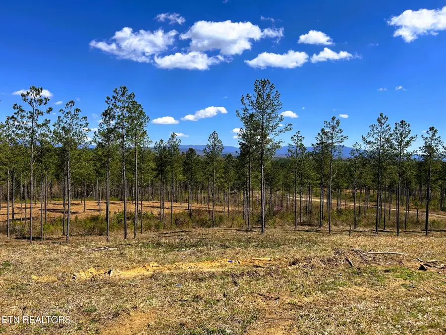 Tract 26A Hughes Lake Road Se, Cleveland, TN 37323 - #2