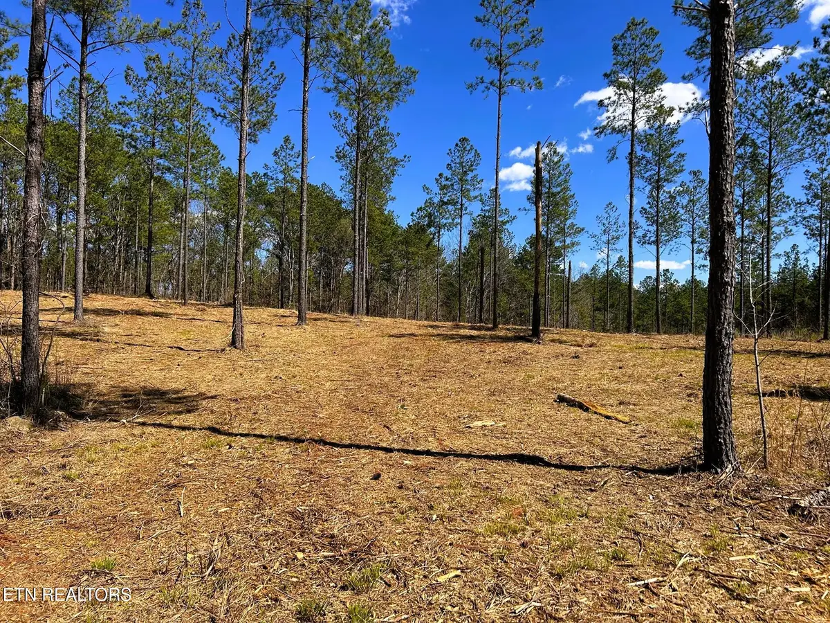 Tract 26B Hughes Lake Road Se, Cleveland, TN 37323 - Image #1