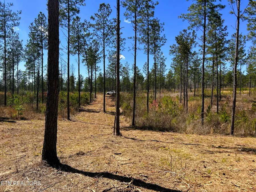 Tract 26B Hughes Lake Road Se, Cleveland, TN 37323 - Image #2