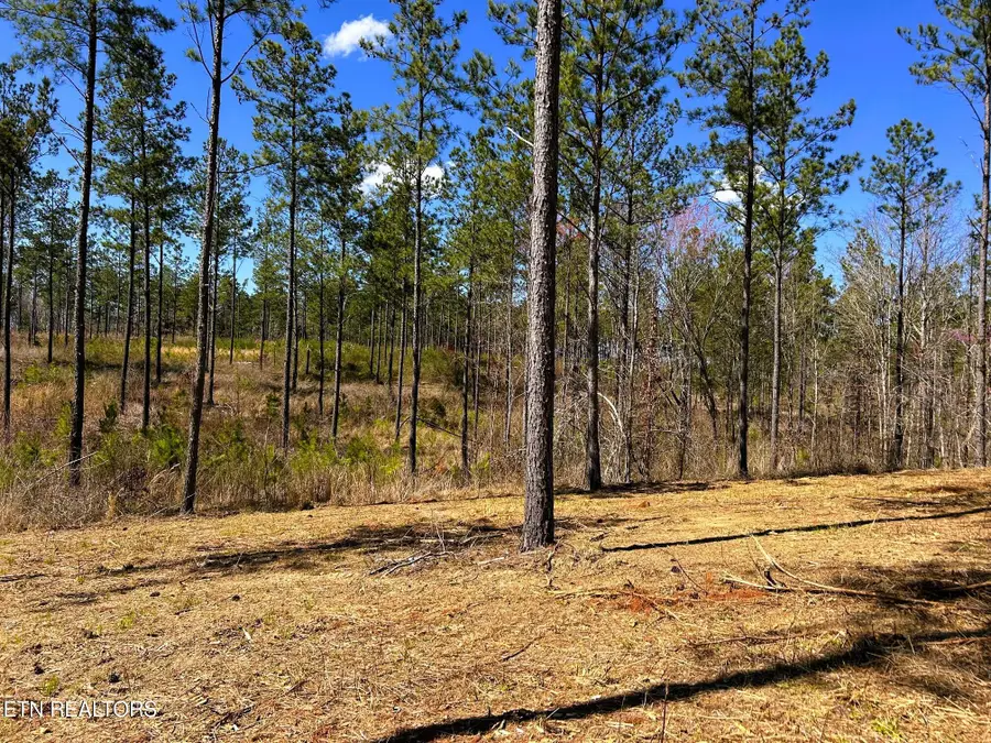 Tract 26B Hughes Lake Road Se, Cleveland, TN 37323 - Image #3