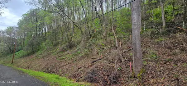 0 Black Walnut Flats Rd, Sevierville, TN 37862