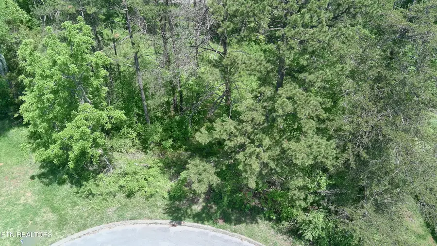 Lot 10 Antler Ridge, Dandridge, TN 37725 - #2