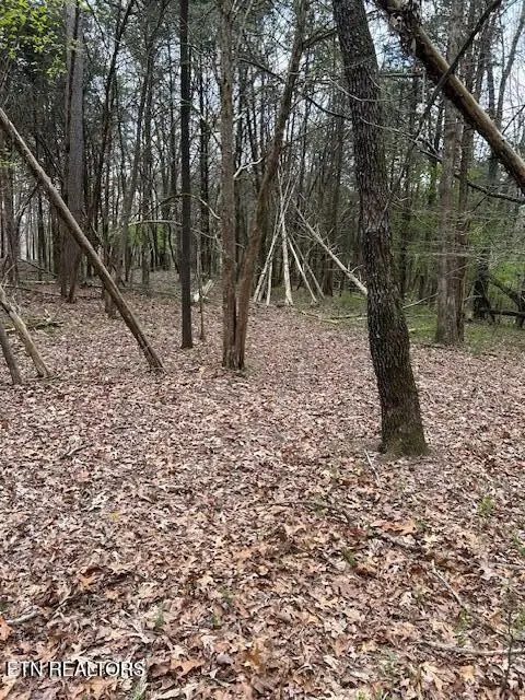 #2