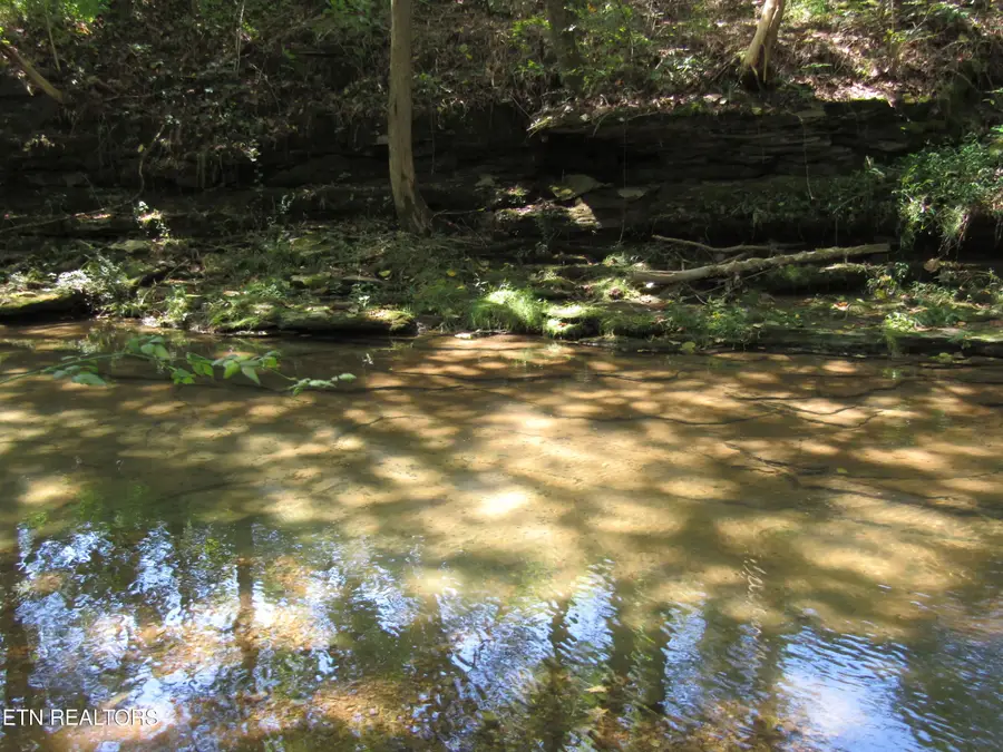 14ac Hartsville Rd, Lafayette, TN 37083 - Image #2