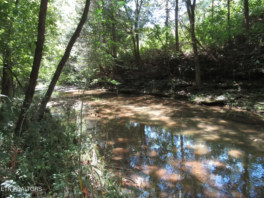 14ac Hartsville Rd, Lafayette, TN 37083 - Image #3