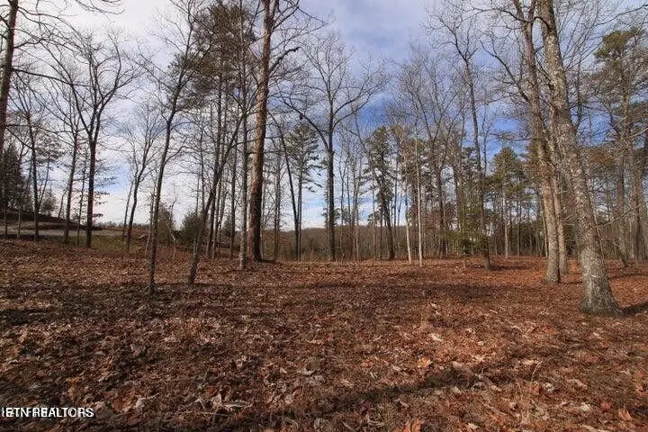 Lot 4 Cliffmont, Jamestown, TN 38556 - #1