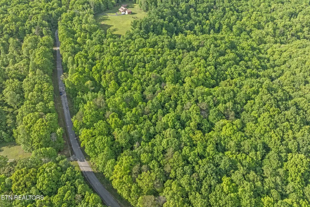 483 Honey Springs Rd, Crawford, TN 38554 - #1