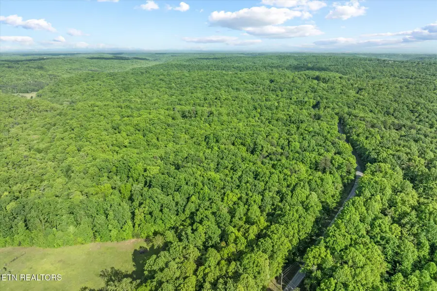 483 Honey Springs Rd, Crawford, TN 38554 - #2