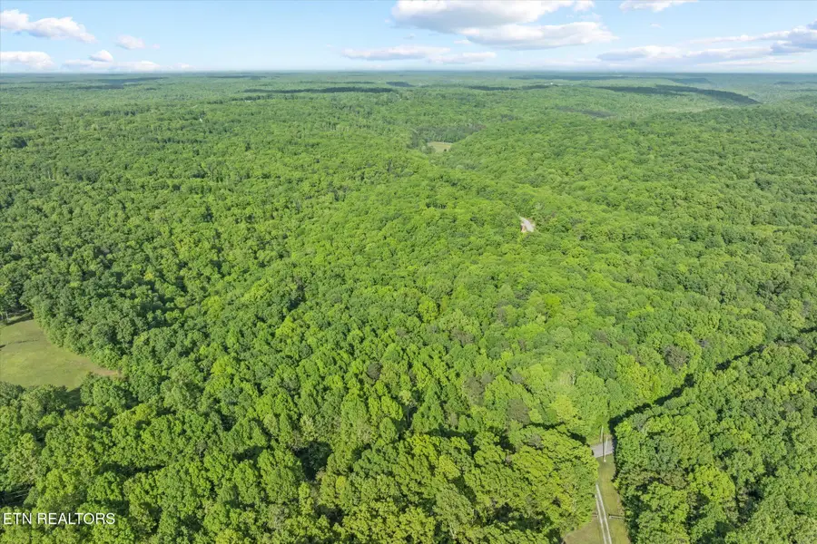 483 Honey Springs Rd, Crawford, TN 38554 - #3