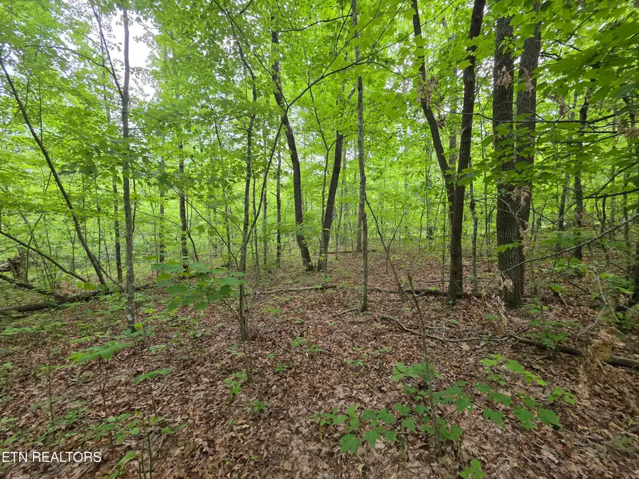 #3
